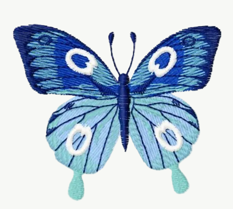 N03 Papillon La Maitrise Marseille